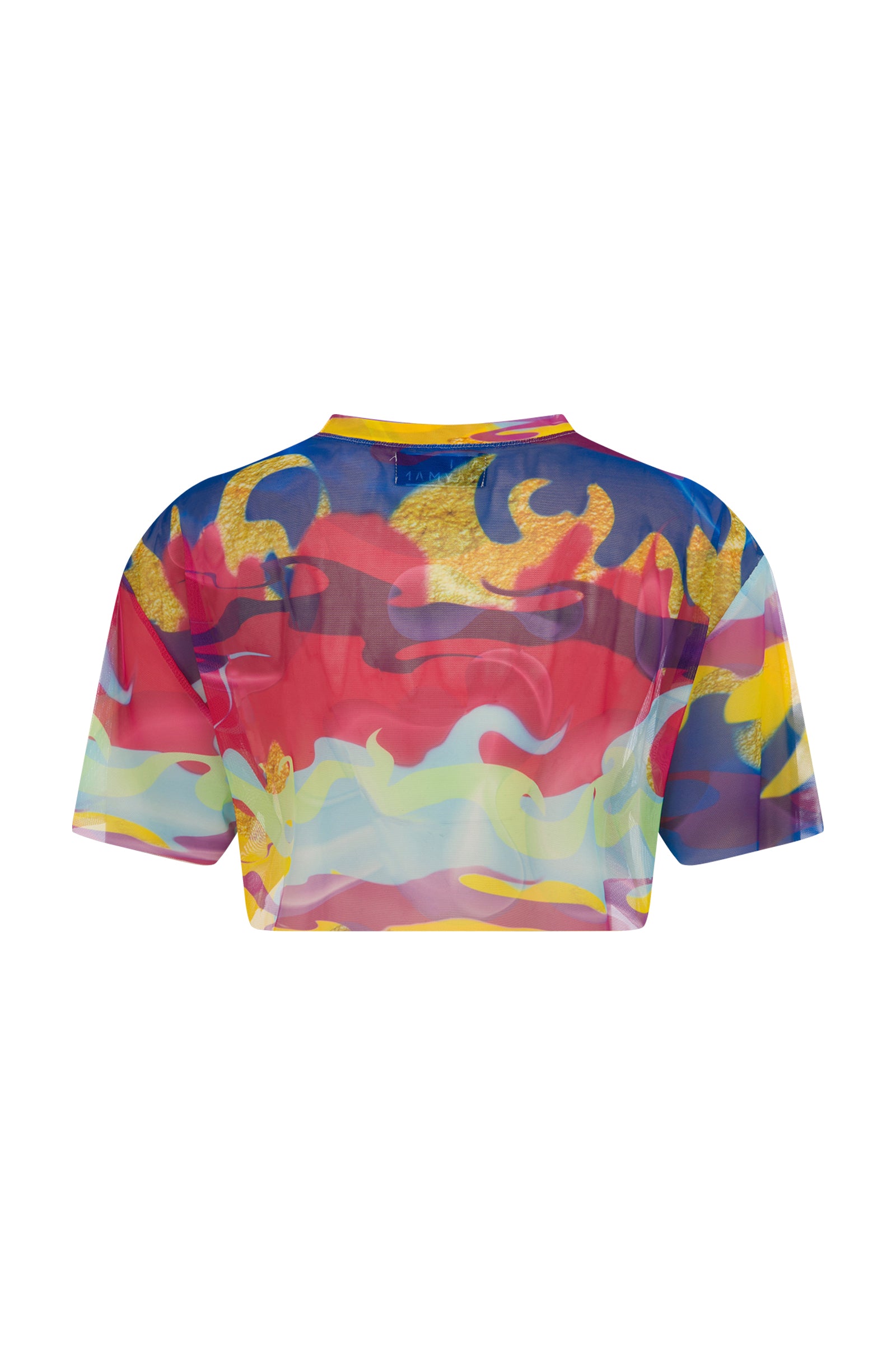 Thomas Mesh Crop Top