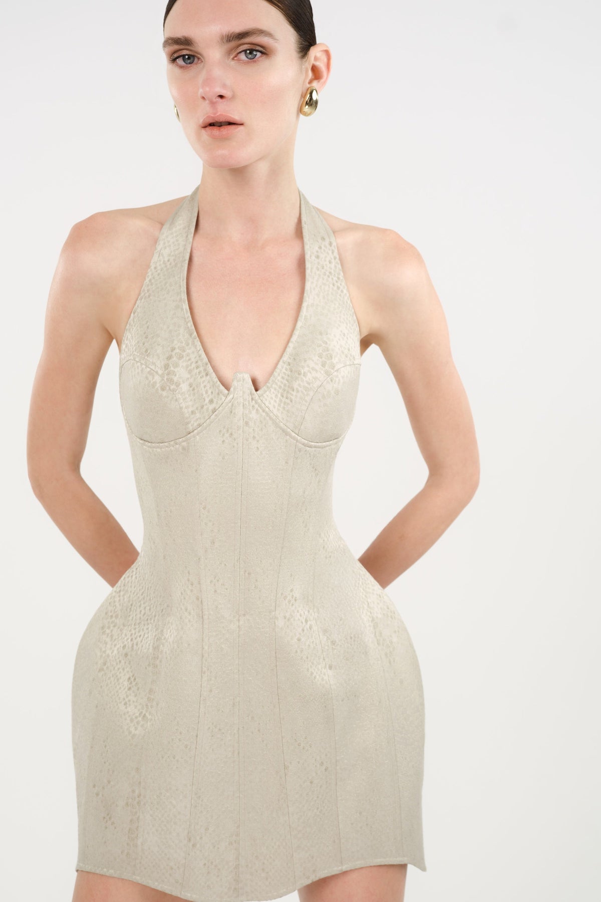 Snake-Print Boned Mini Corset Dress