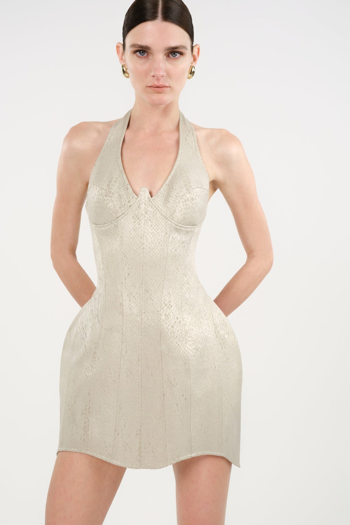 Snake-Print Boned Mini Corset Dress